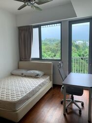 Natura@Hillview (D23), Apartment #555043701